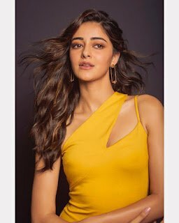 Instagram25281062529 - 250+ Best Ananya Pandey Hot and Sexy Images, Photos, Pics and Wallpaper Free Download