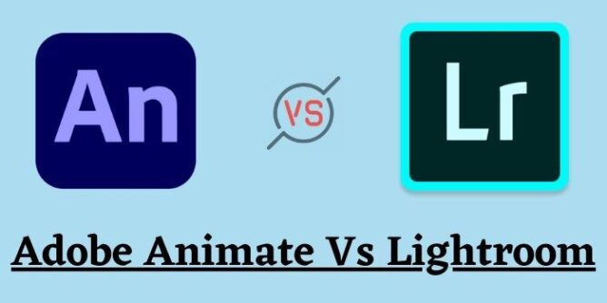 adobe animate vs lightroom 668x334 1 - Which Is Better Lightroom Or Photoshop?