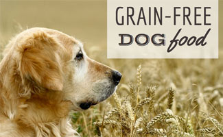 Importance of Grain free Dog Food 1649146523 - Importance of Grain-free Dog Food