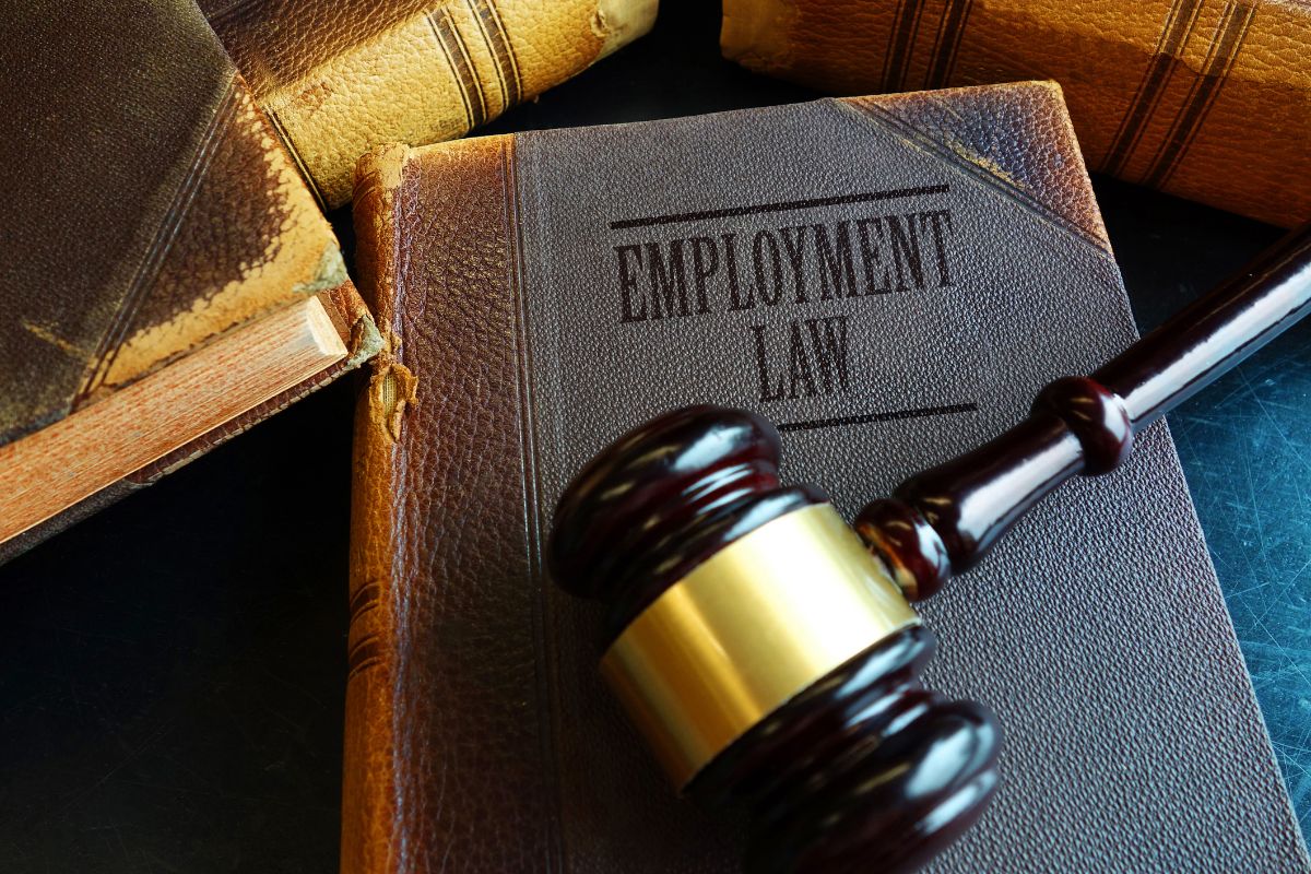 Several reasons to hire an employment lawyer 107300 - Several reasons to hire an employment lawyer
